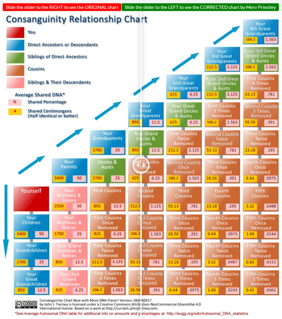 Consanguinity Relationship Chart Comparisons